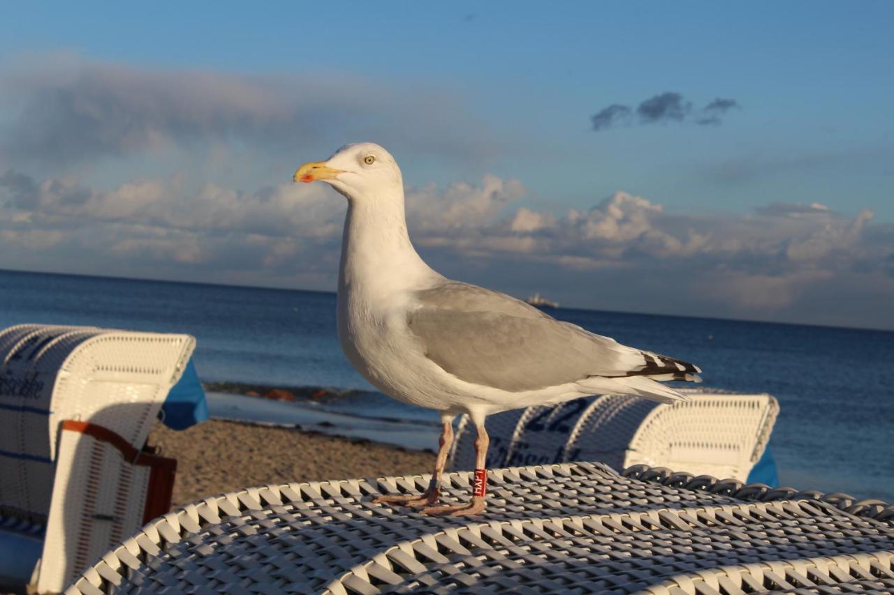Ferienwohnungen Im Haus Strandburg Grömitz Extérieur photo